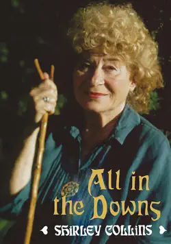 all in the downs book cover image