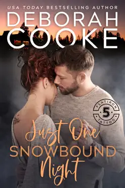 just one snowbound night book cover image