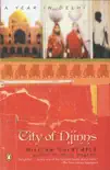 City of Djinns sinopsis y comentarios