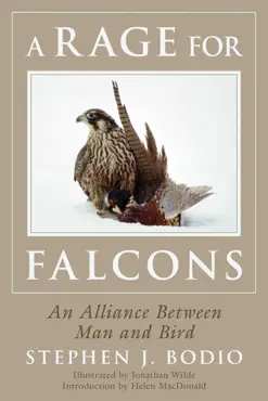 a rage for falcons book cover image