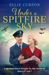 Under a Spitfire Sky sinopsis y comentarios