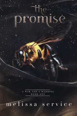 a war and a wedding: the promise book cover image