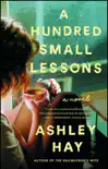 A Hundred Small Lessons synopsis, comments