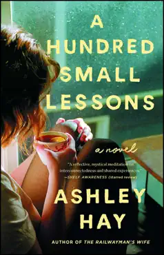 a hundred small lessons book cover image