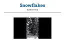 Snowflakes Magnified reviews