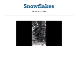 snowflakes magnified book cover image