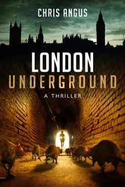 london underground book cover image