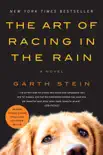 The Art of Racing In the Rain synopsis, comments