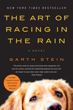 the art of racing in the rain book cover image