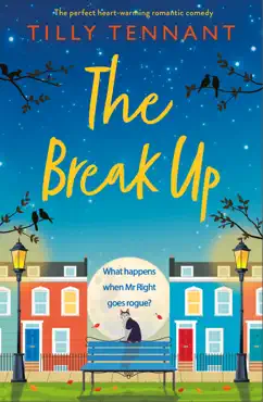 the break up book cover image
