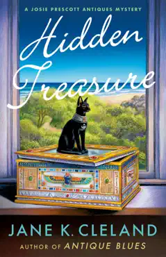hidden treasure book cover image
