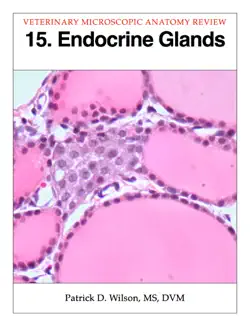 endocrine glands book cover image