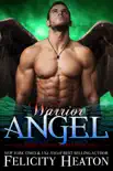 Warrior Angel synopsis, comments