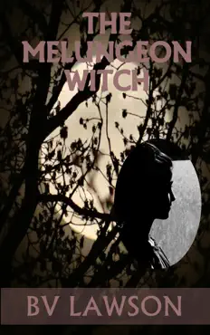 the melungeon witch book cover image