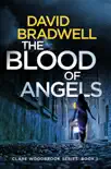 The Blood Of Angels synopsis, comments