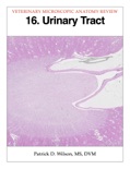 Urinary Tract book summary, reviews and download