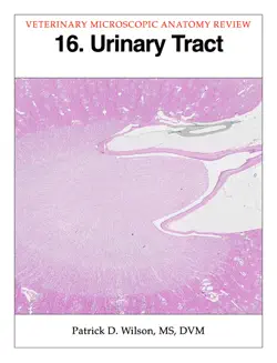 urinary tract book cover image