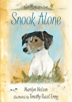 snook alone book cover image