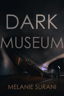 dark museum book cover image