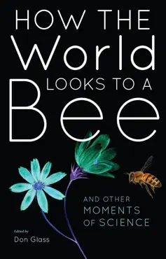 how the world looks to a bee book cover image
