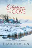 Christmas at the Cove synopsis, comments