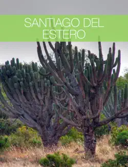 santiago del estero book cover image