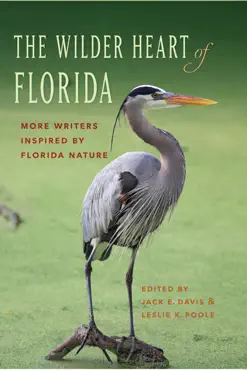 the wilder heart of florida book cover image