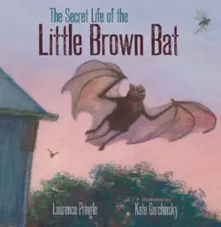 the secret life of the little brown bat book cover image