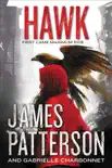 Hawk synopsis, comments