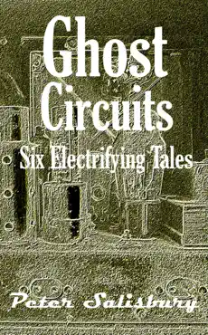 ghost circuits imagen de la portada del libro