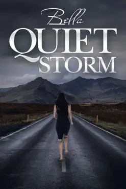 quiet storm book cover image