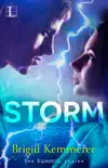 Storm book summary, reviews and download