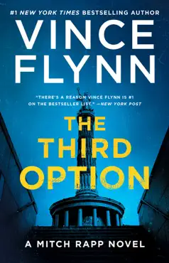 the third option book cover image