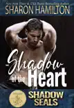 Shadow of the Heart synopsis, comments