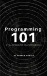 Programming 101 synopsis, comments
