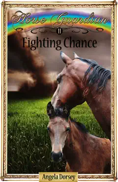fighting chance imagen de la portada del libro