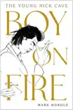 Boy on Fire synopsis, comments