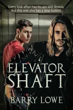 elevator shaft book cover image