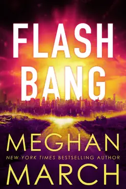 flash bang book cover image