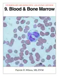 Blood & Bone Marrow e-book