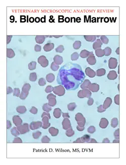 blood & bone marrow book cover image