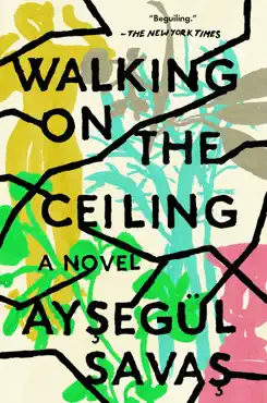 walking on the ceiling imagen de la portada del libro