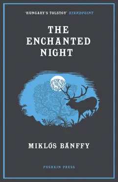 the enchanted night book cover image