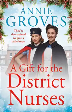 a gift for the district nurses book cover image