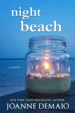 night beach book cover image