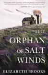 The Orphan of Salt Winds synopsis, comments