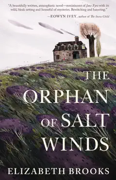 the orphan of salt winds book cover image