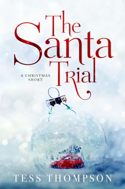 the santa trial book cover image