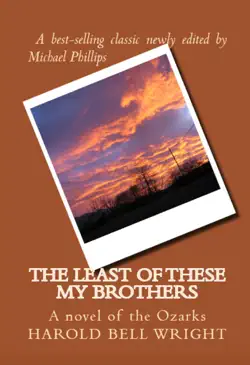 the least of these my brothers book cover image