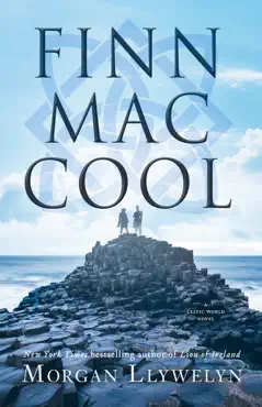 finn mac cool book cover image